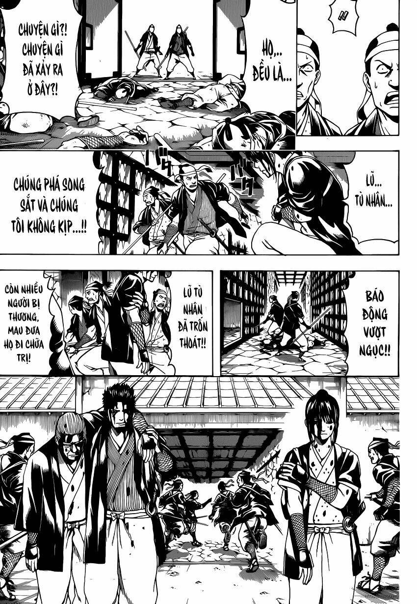 Gintama – Linh Hồn Bạc Chapter 531 - Trang 2