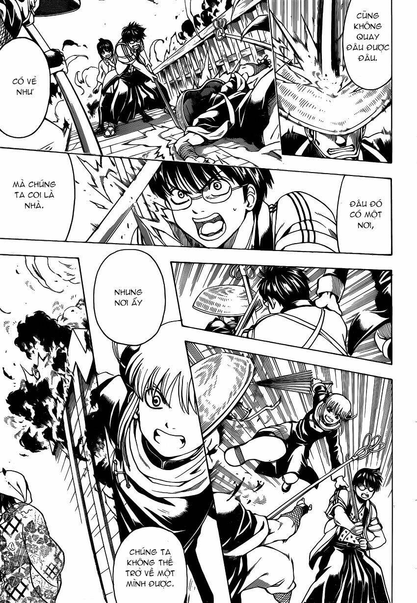 Gintama – Linh Hồn Bạc Chapter 532 - Trang 2