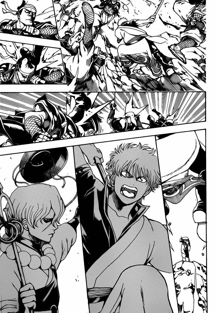 Gintama – Linh Hồn Bạc Chapter 536 - Trang 2