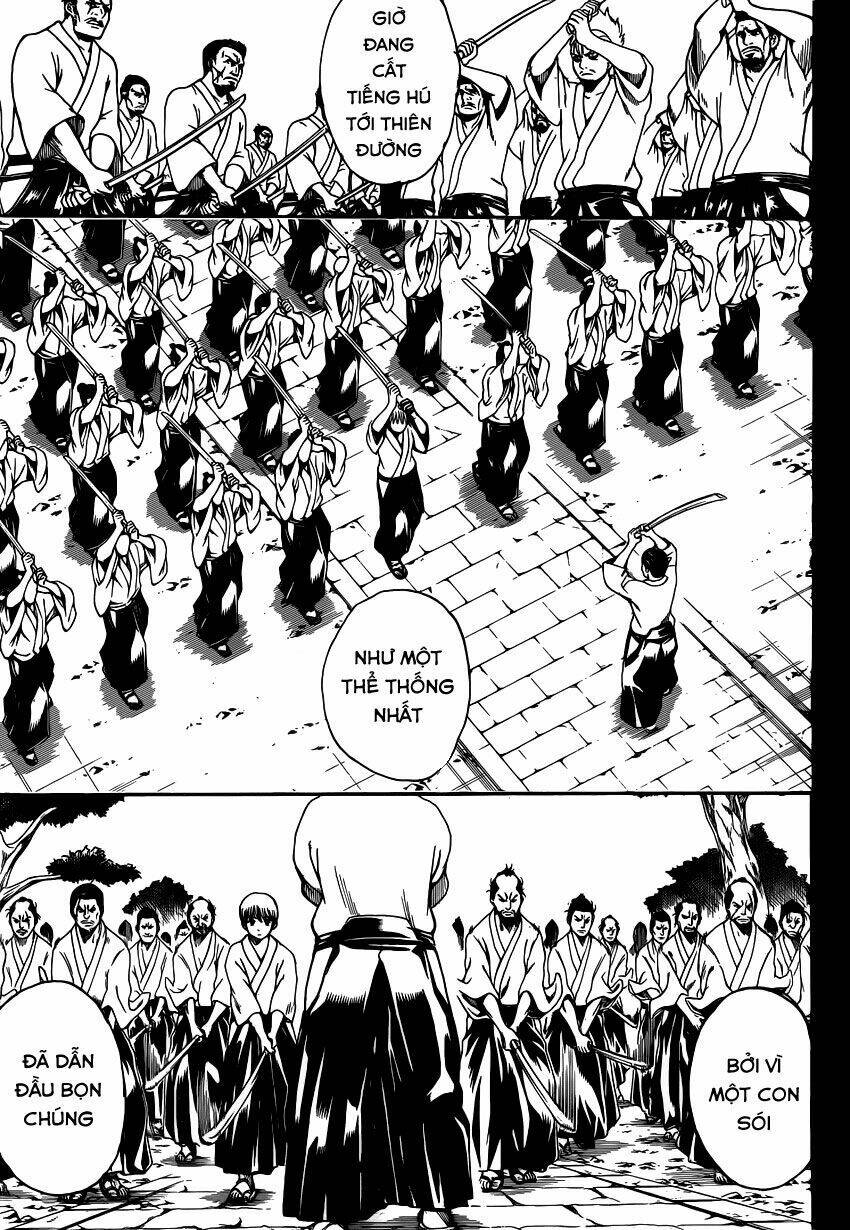 Gintama – Linh Hồn Bạc Chapter 537 - Trang 2