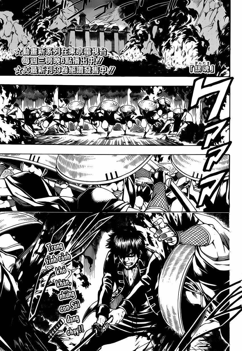 Gintama – Linh Hồn Bạc Chapter 543 - Trang 2