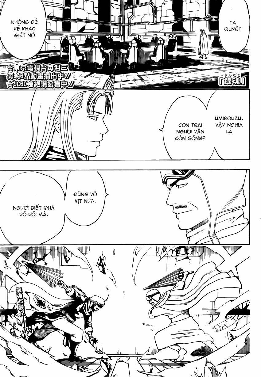 Gintama – Linh Hồn Bạc Chapter 556 - Trang 2