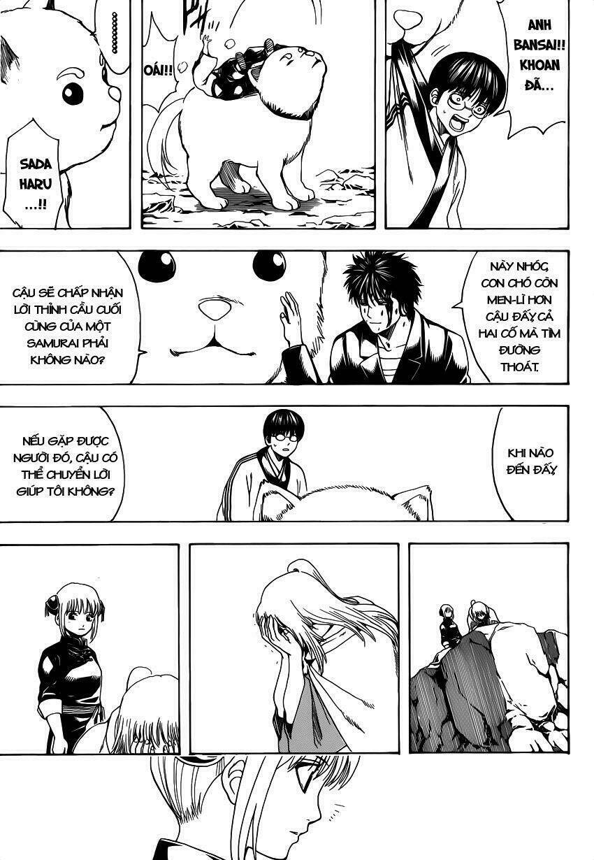 Gintama – Linh Hồn Bạc Chapter 572 - Trang 2