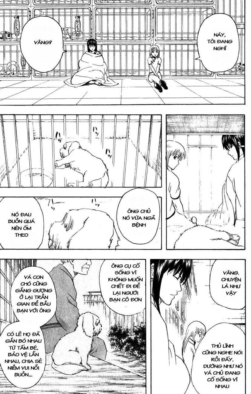 Gintama Chapter 207 - Trang 2