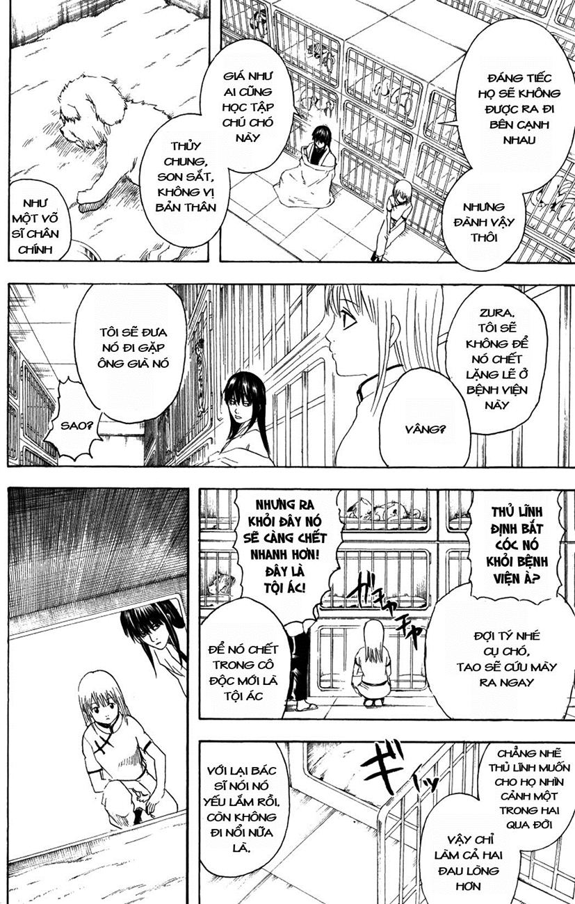 Gintama Chapter 207 - Trang 2