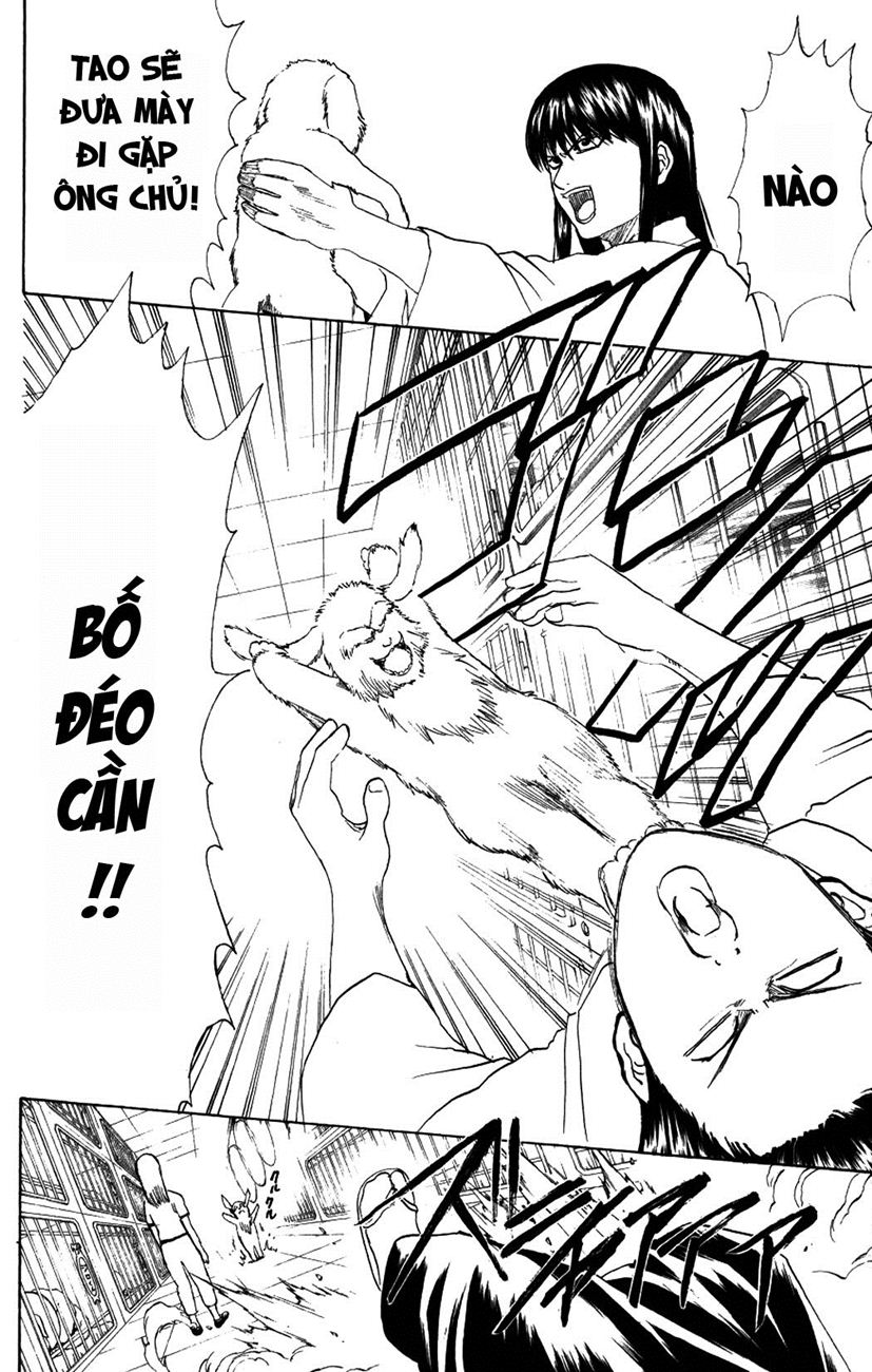 Gintama Chapter 207 - Trang 2