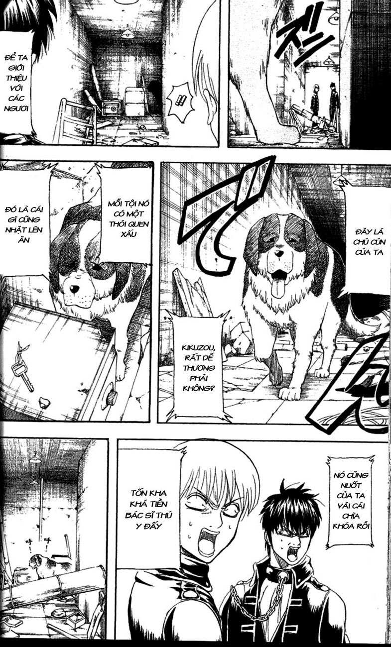 Gintama Chapter 234 - Trang 2