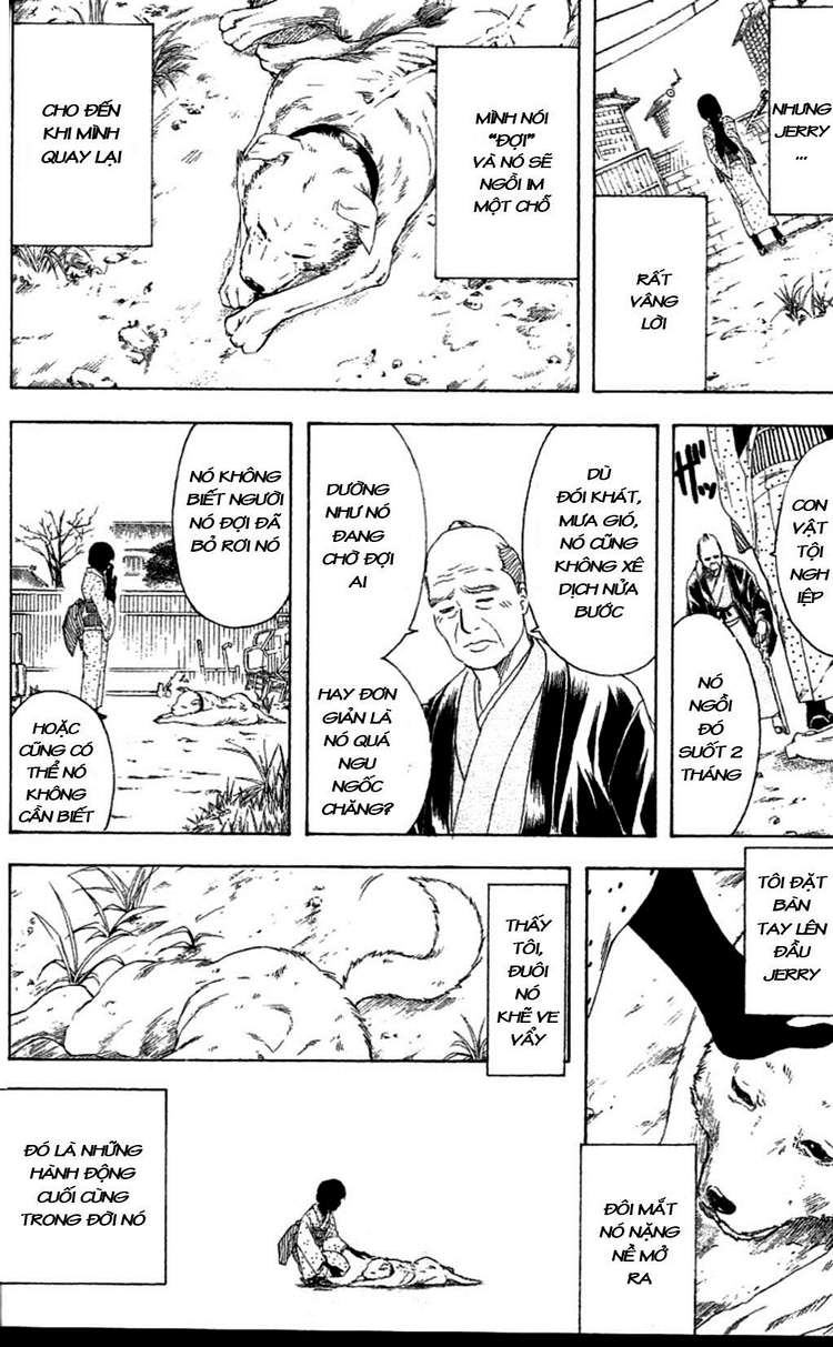 Gintama Chapter 237 - Trang 2