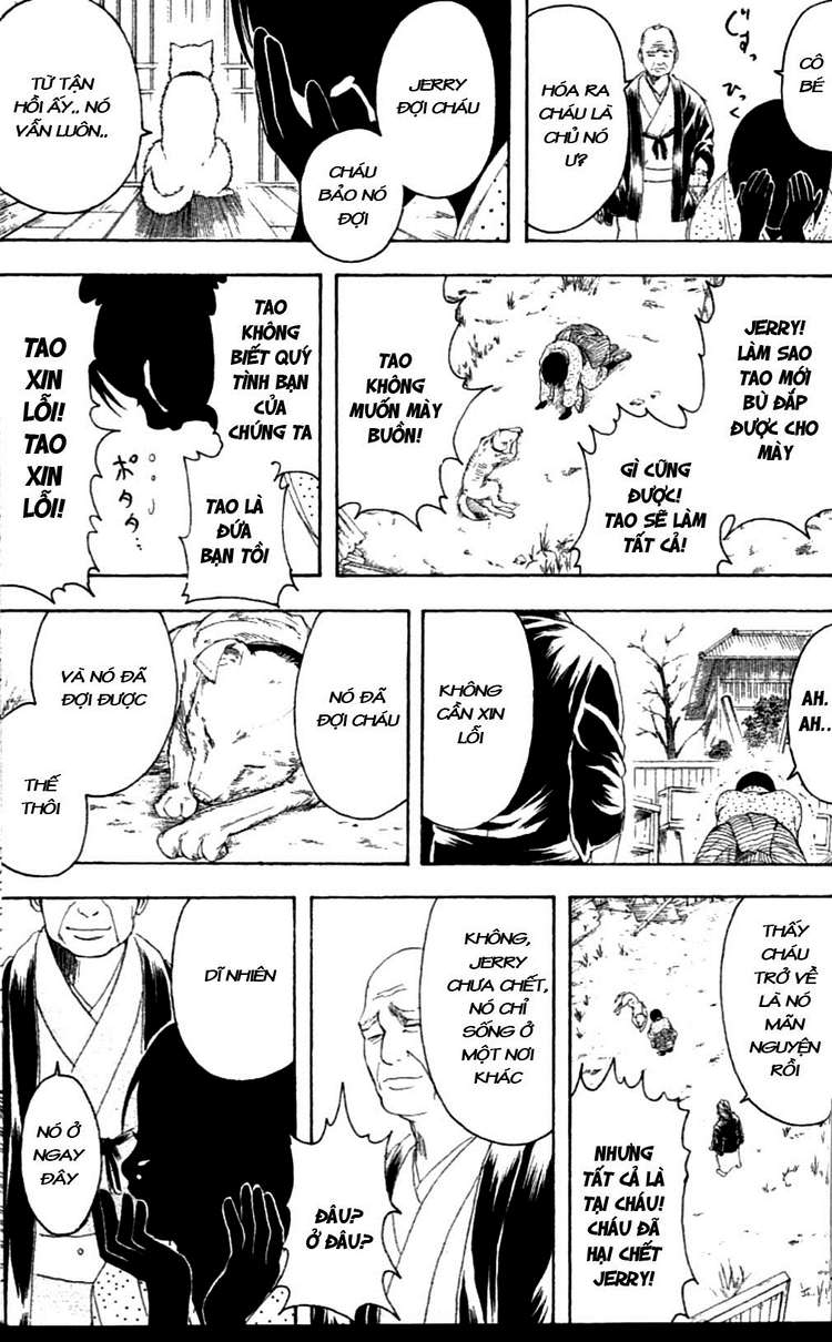 Gintama Chapter 237 - Trang 2