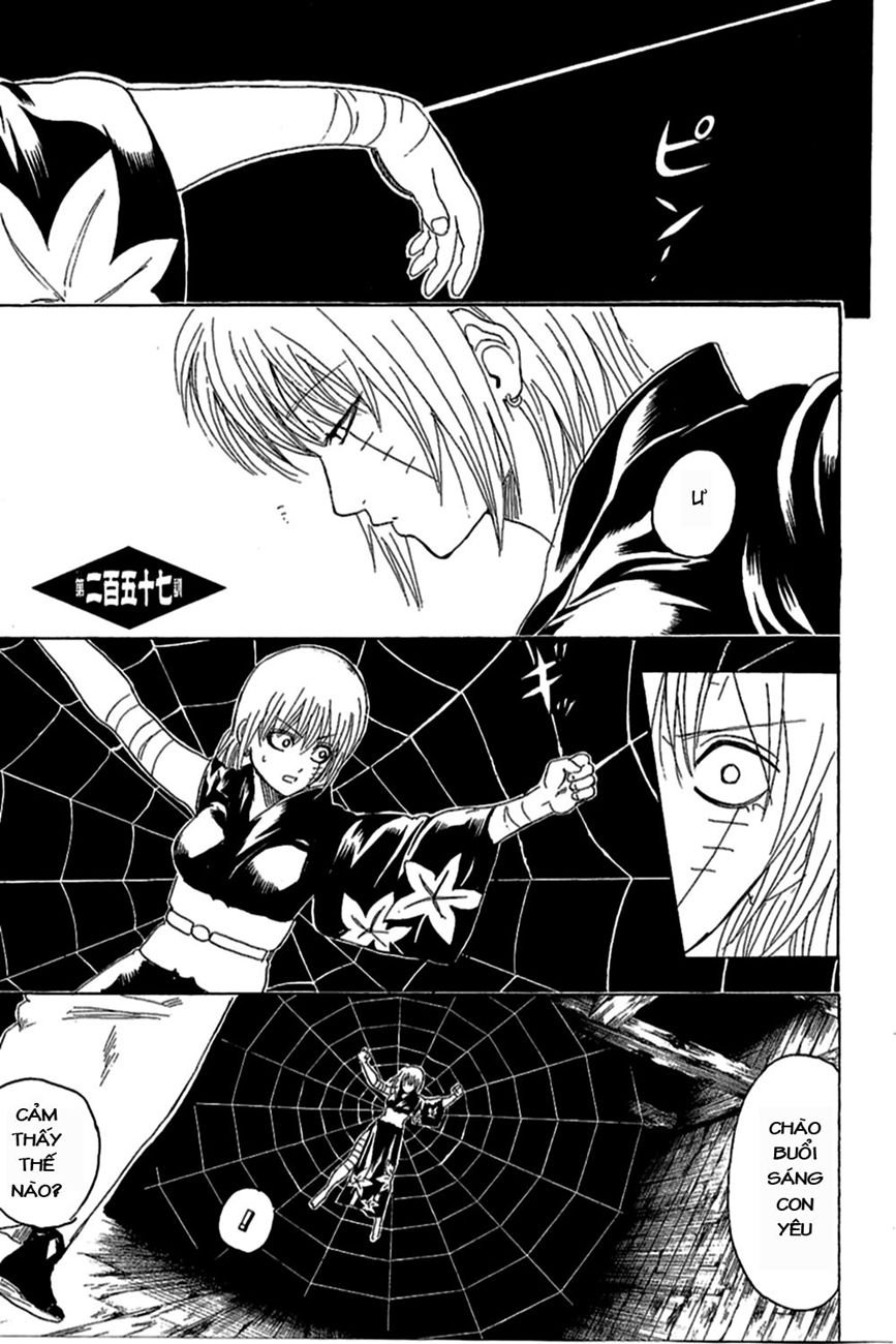 Gintama Chapter 257 - Trang 2