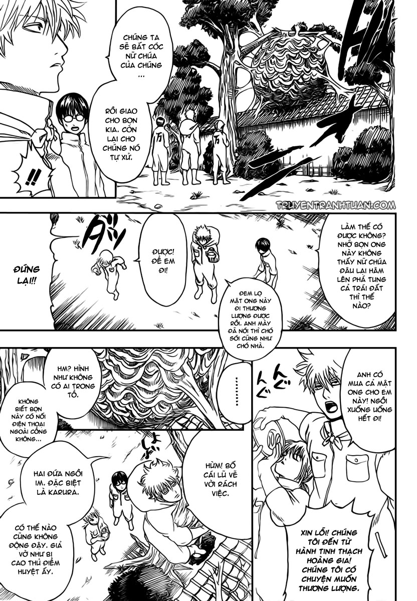 Gintama Chapter 269 - Trang 2