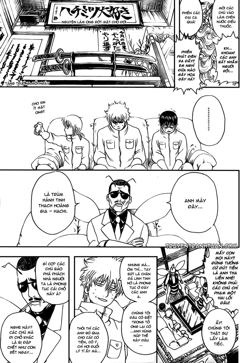 Gintama Chapter 269 - Trang 2