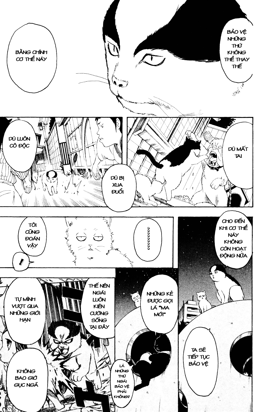 Gintama Chapter 277 - Trang 2