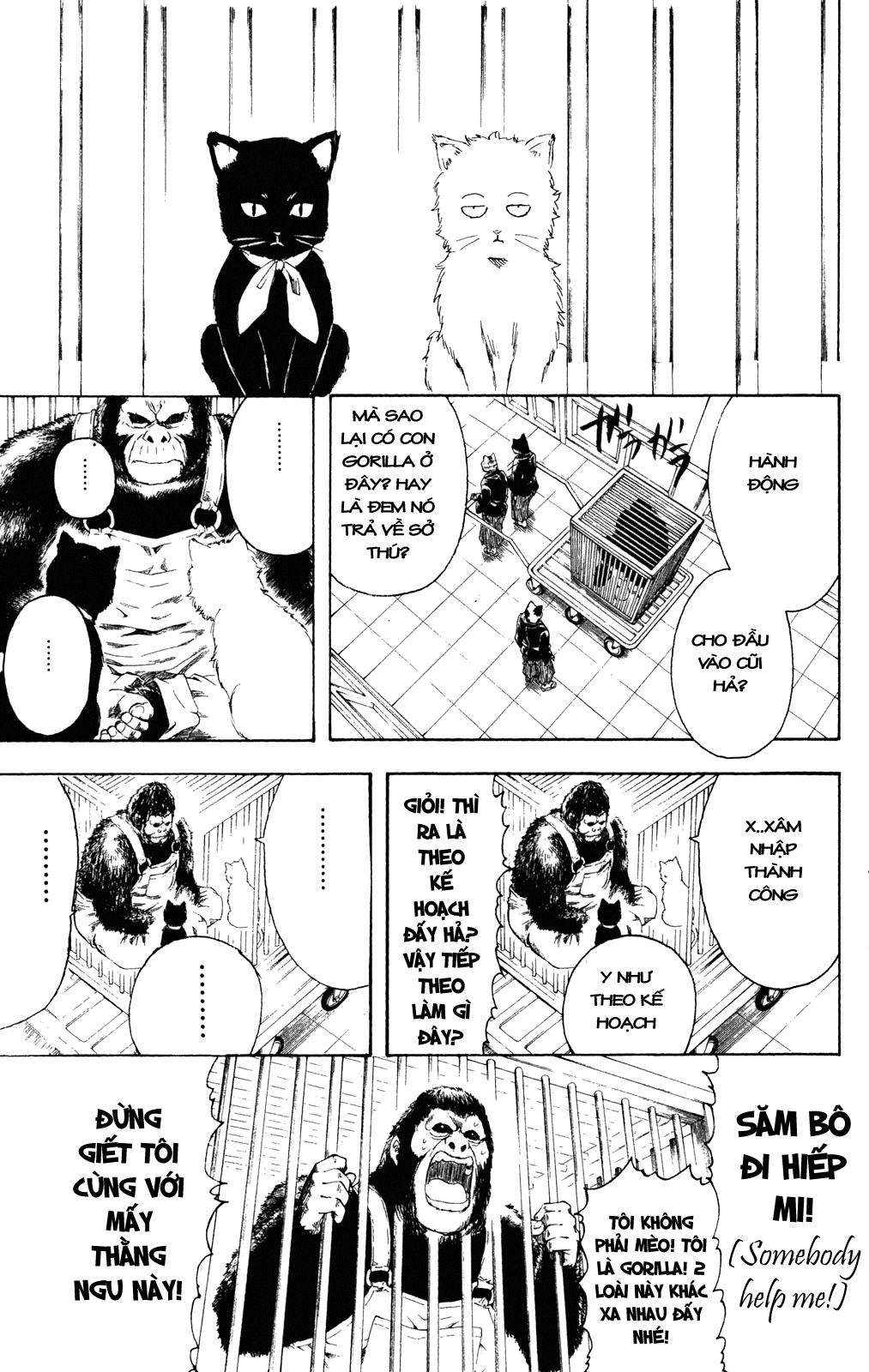 Gintama Chapter 278 - Trang 2