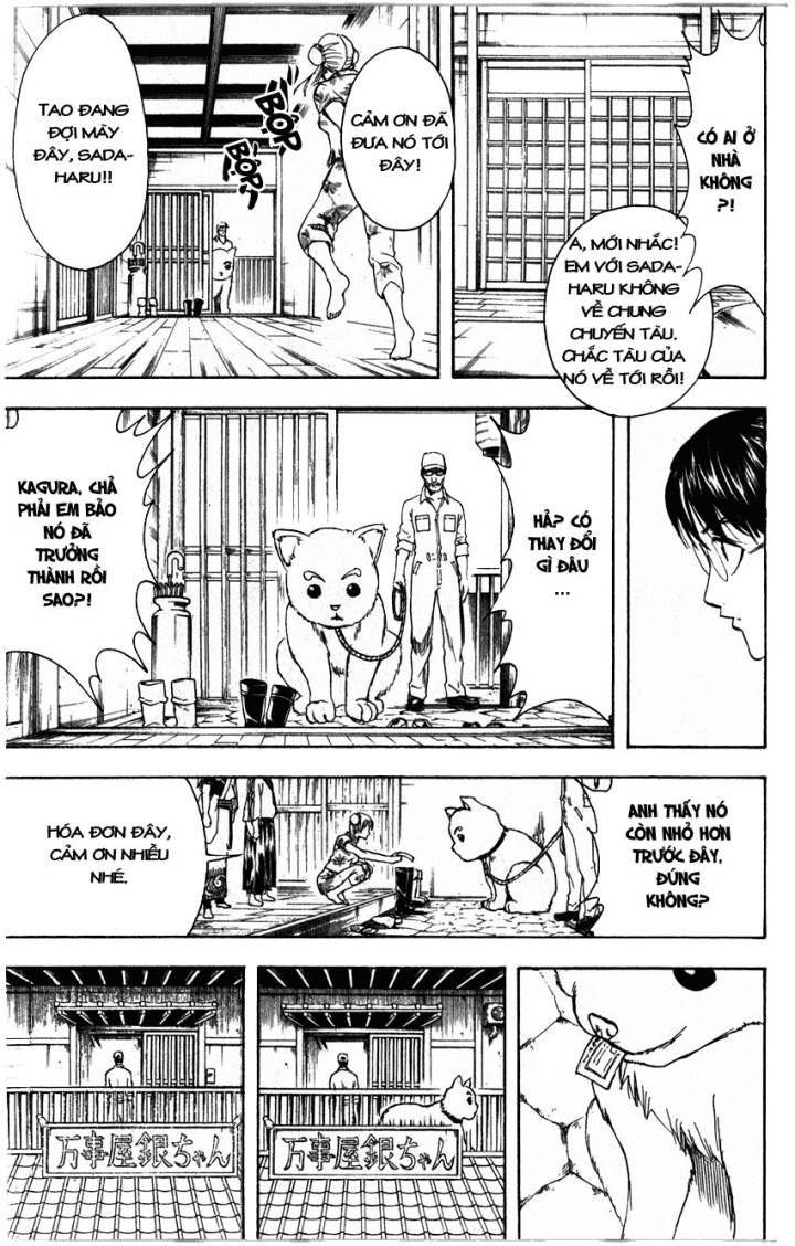 Gintama Chapter 324 - Trang 2