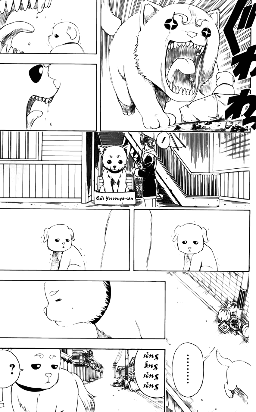 Gintama Chapter 401 - Trang 2