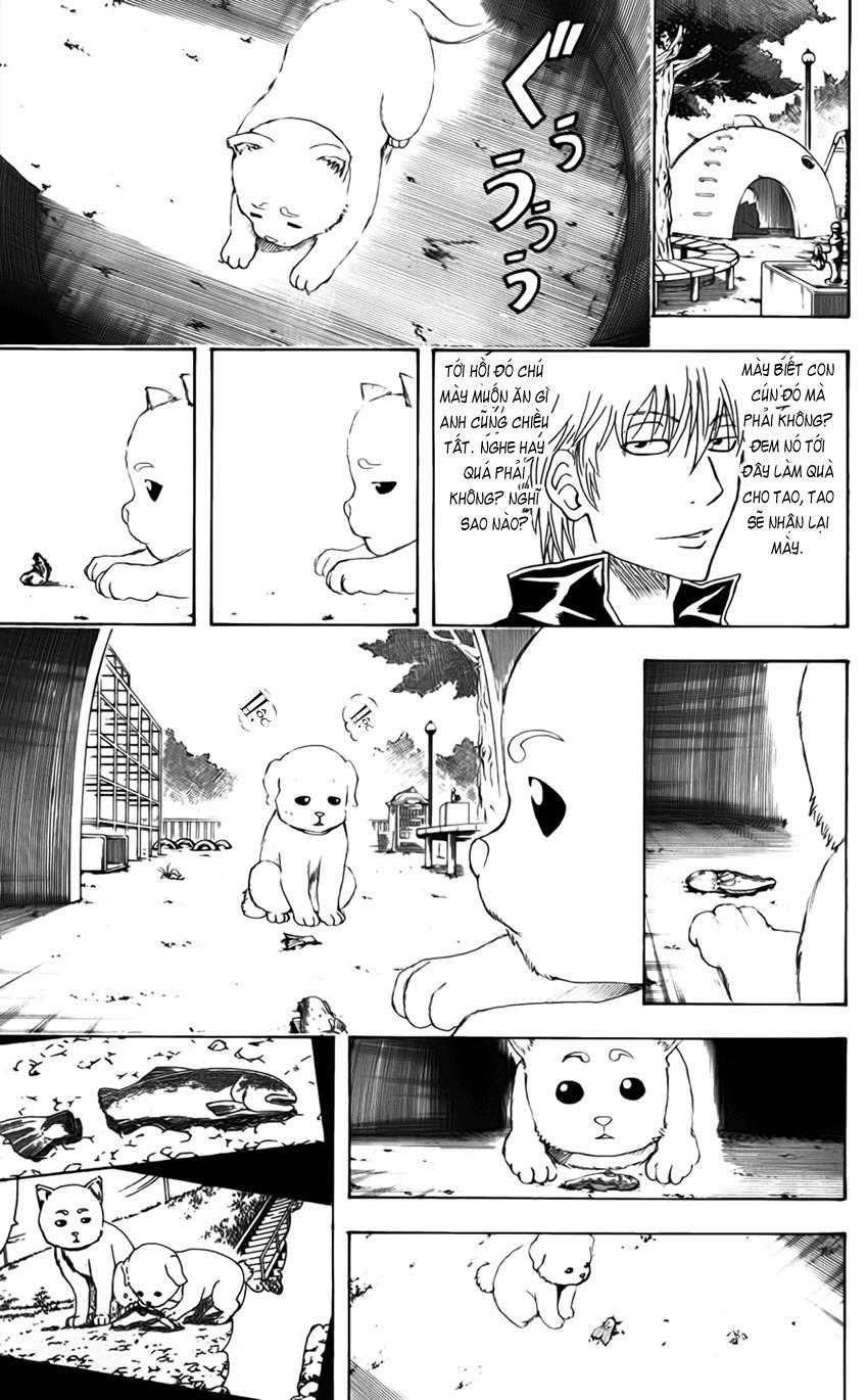 Gintama Chapter 402 - Trang 2