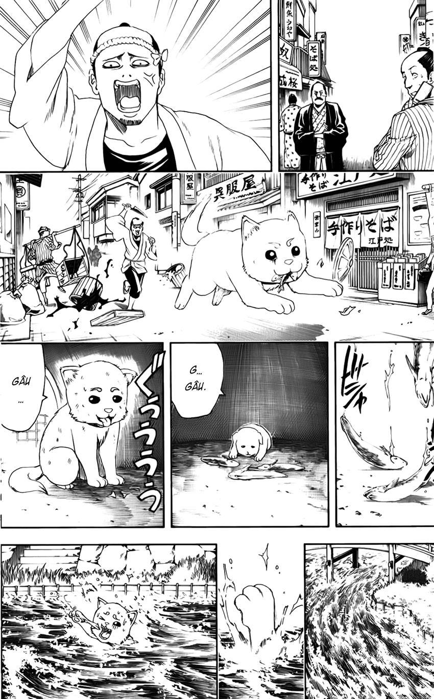 Gintama Chapter 402 - Trang 2