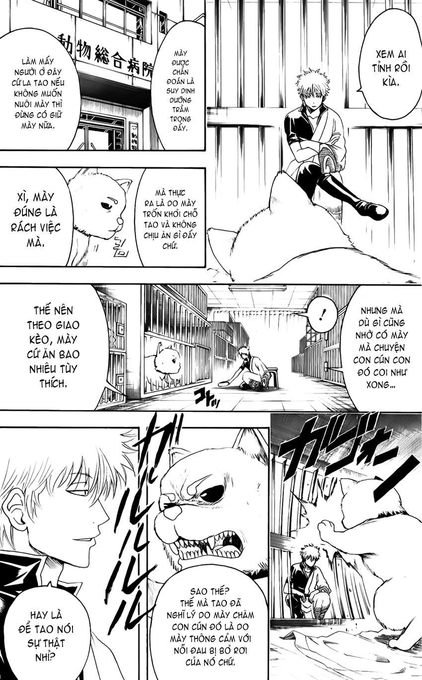 Gintama Chapter 402 - Trang 2