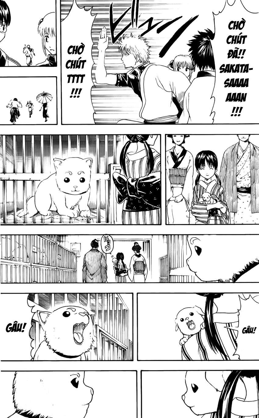 Gintama Chapter 402 - Trang 2