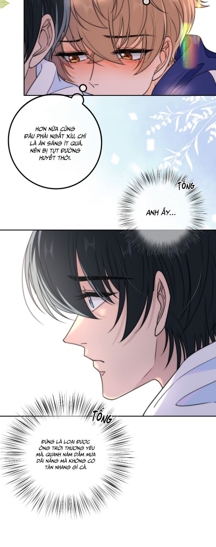 Gió Cung Bên Tai Chapter 23 - Trang 2