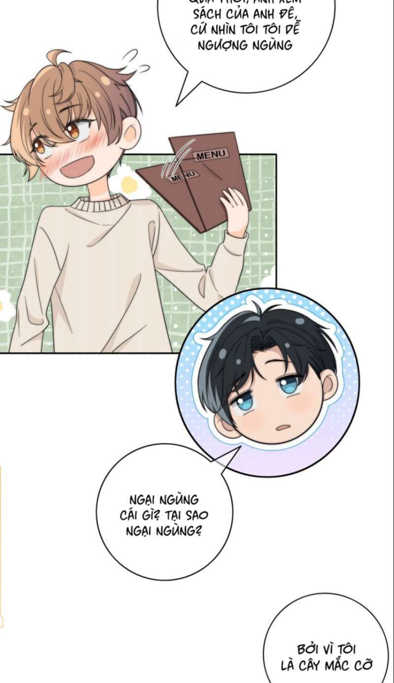 Gió Cung Bên Tai Chapter 43 - Trang 2