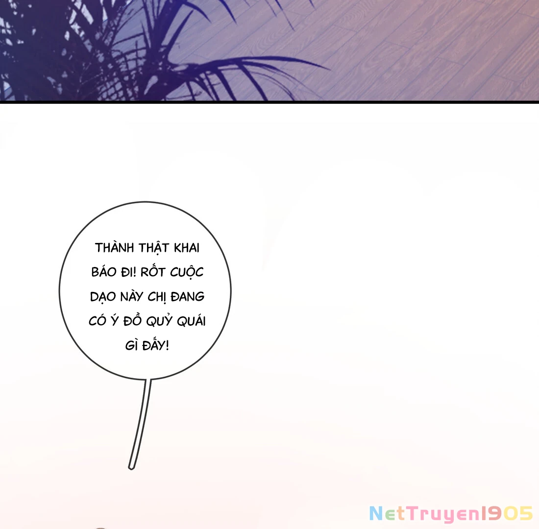 Gió Lớn Hôn Ánh Trăng Chapter 15 - Trang 2