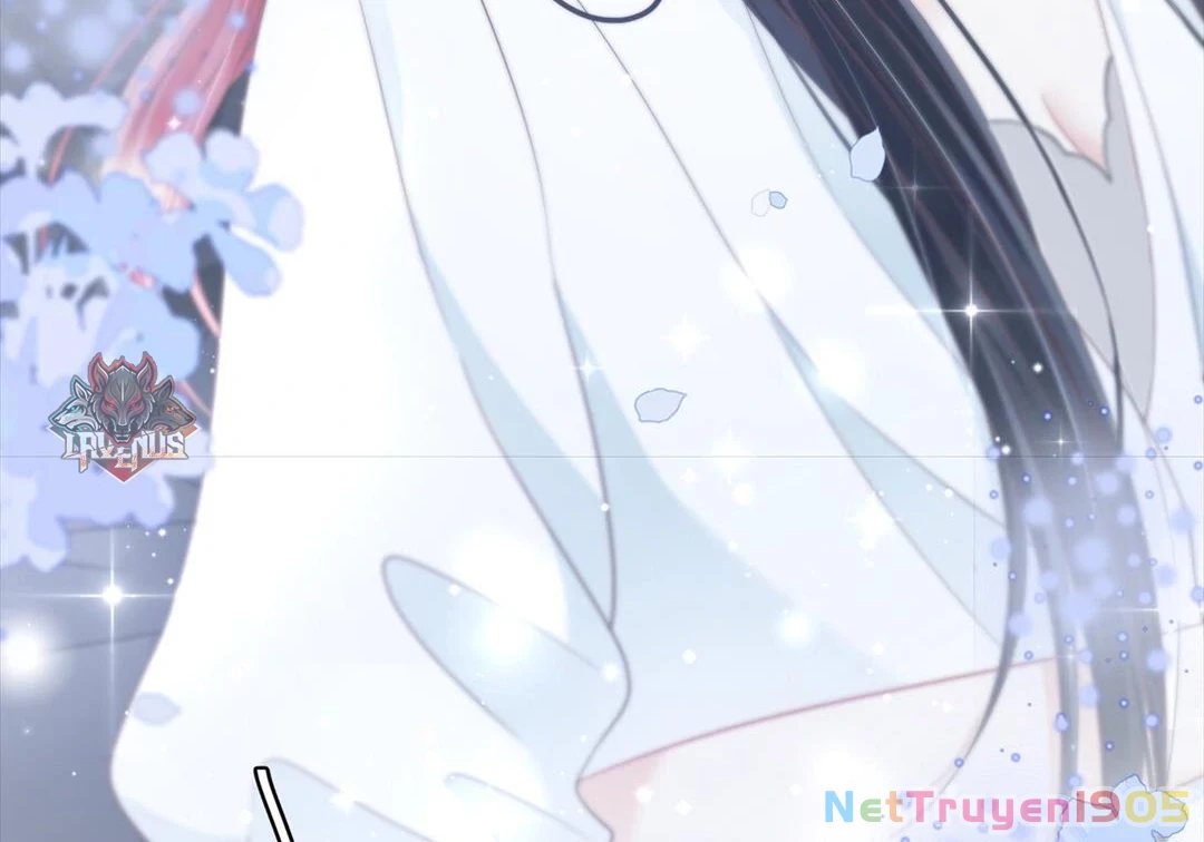 Gió Lớn Hôn Ánh Trăng Chapter 16 - Trang 2