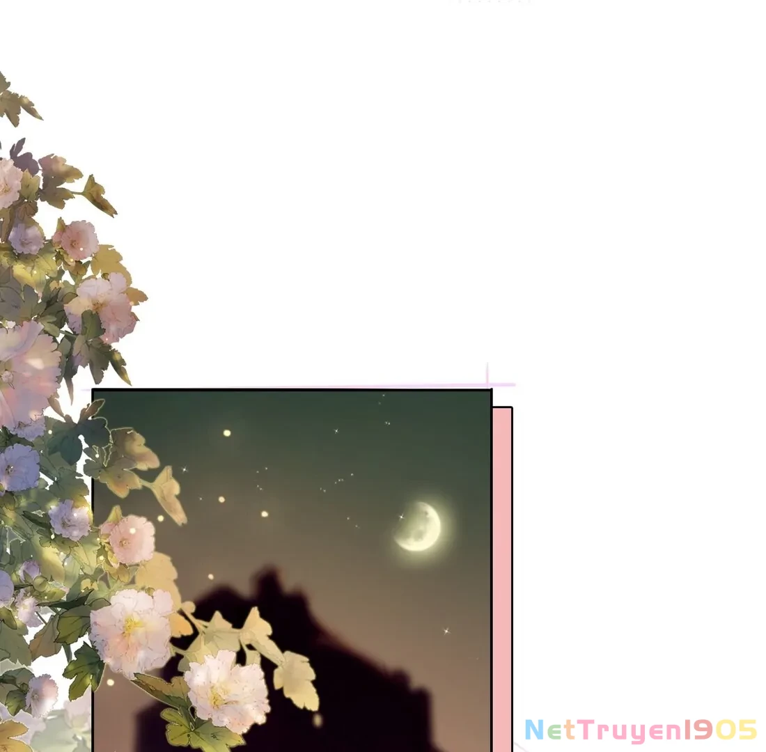 Gió Lớn Hôn Ánh Trăng Chapter 2 - Trang 2
