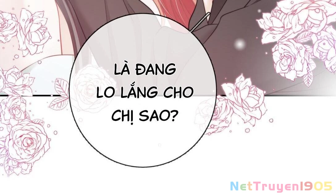 Gió Lớn Hôn Ánh Trăng Chapter 24 - Trang 2