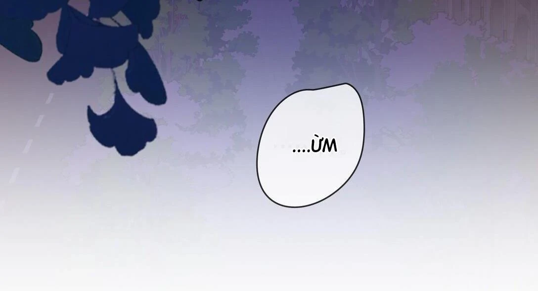 Gió Lớn Hôn Ánh Trăng Chapter 26 - Trang 2