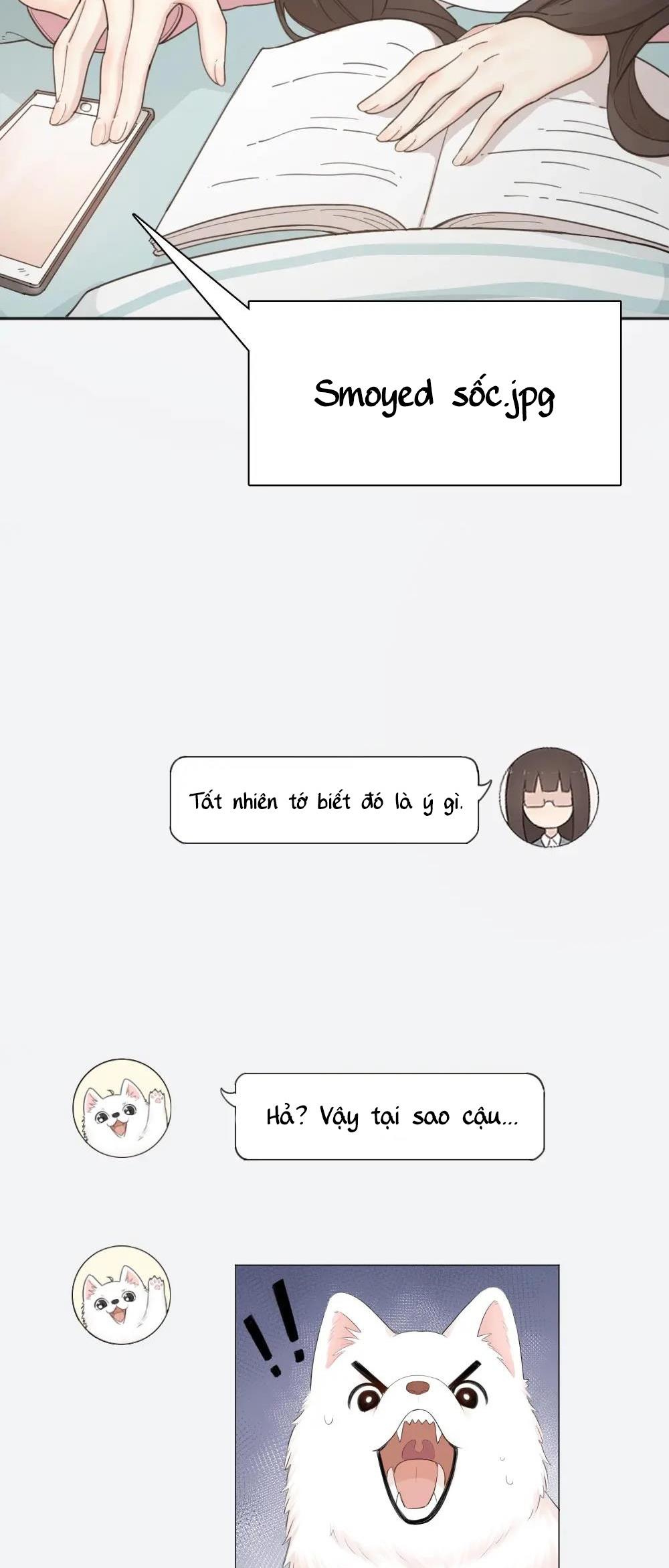 Giờ Nay Cô Ấy Cũng Rất Dễ Thương Chapter 17 - Trang 2