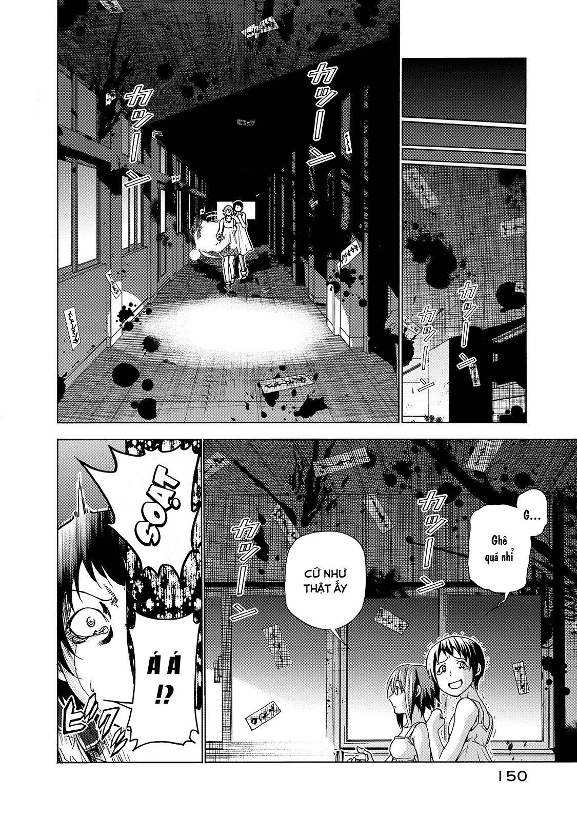 Grand Blue – Cô Gái Thích Lặn Chapter 33 - Trang 2