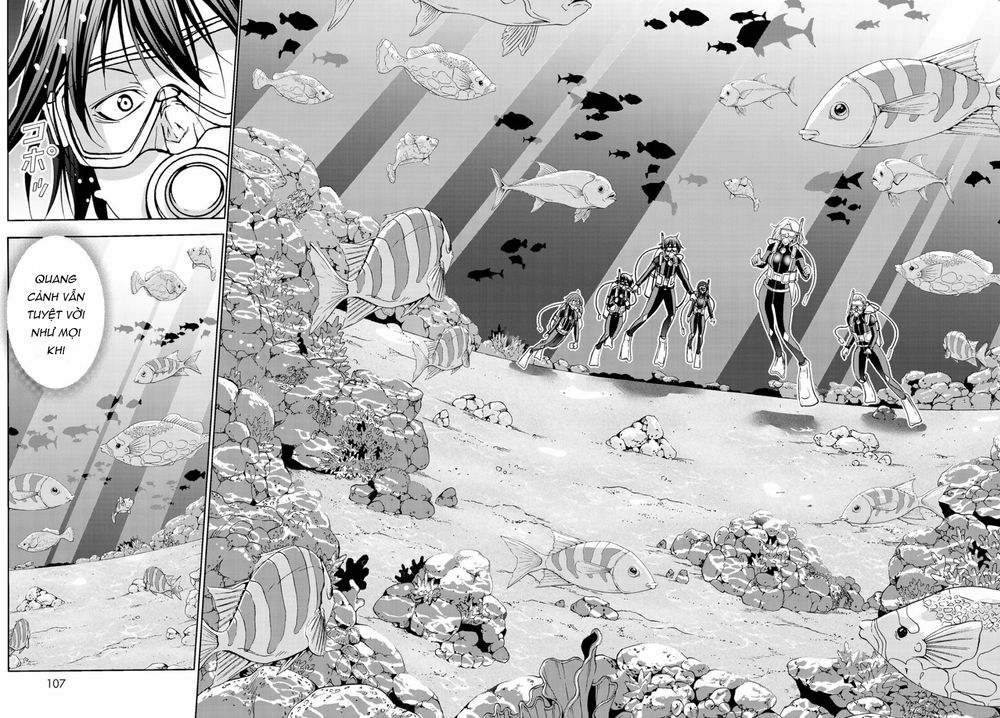 Grand Blue – Cô Gái Thích Lặn Chapter 56 - Trang 2