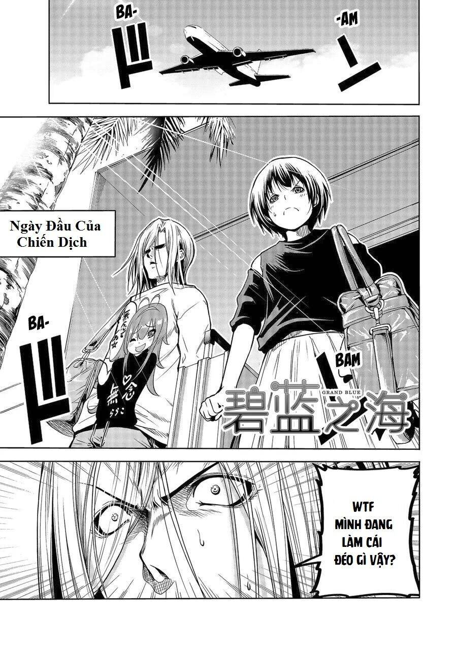 Grand Blue – Cô Gái Thích Lặn Chapter 64 - Trang 2