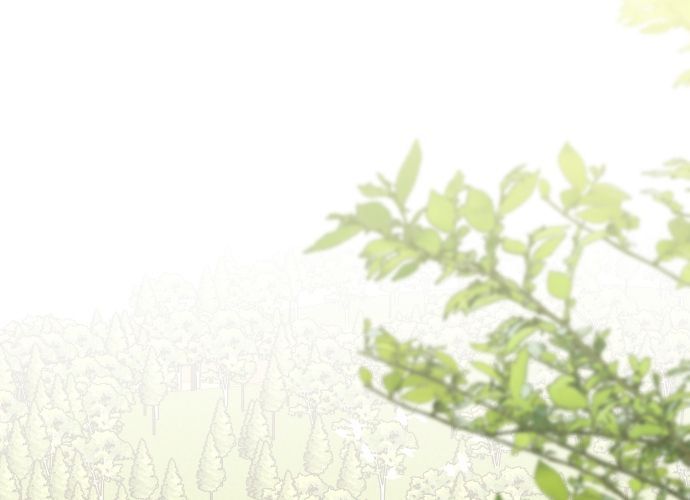 Gửi Người Không Còn Quan Tâm Chapter 59 - Trang 2