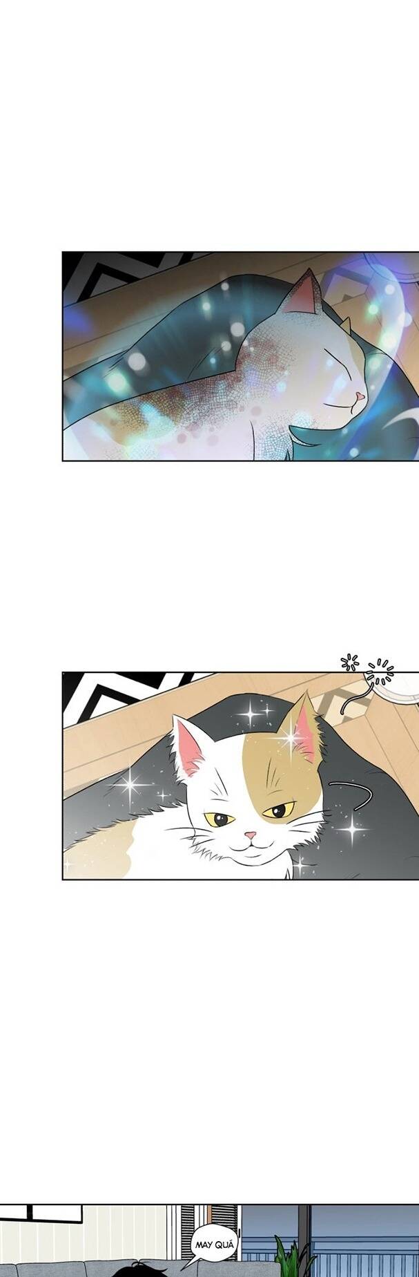 Gương Mặt Thiên Tài Chapter 1 - Trang 2