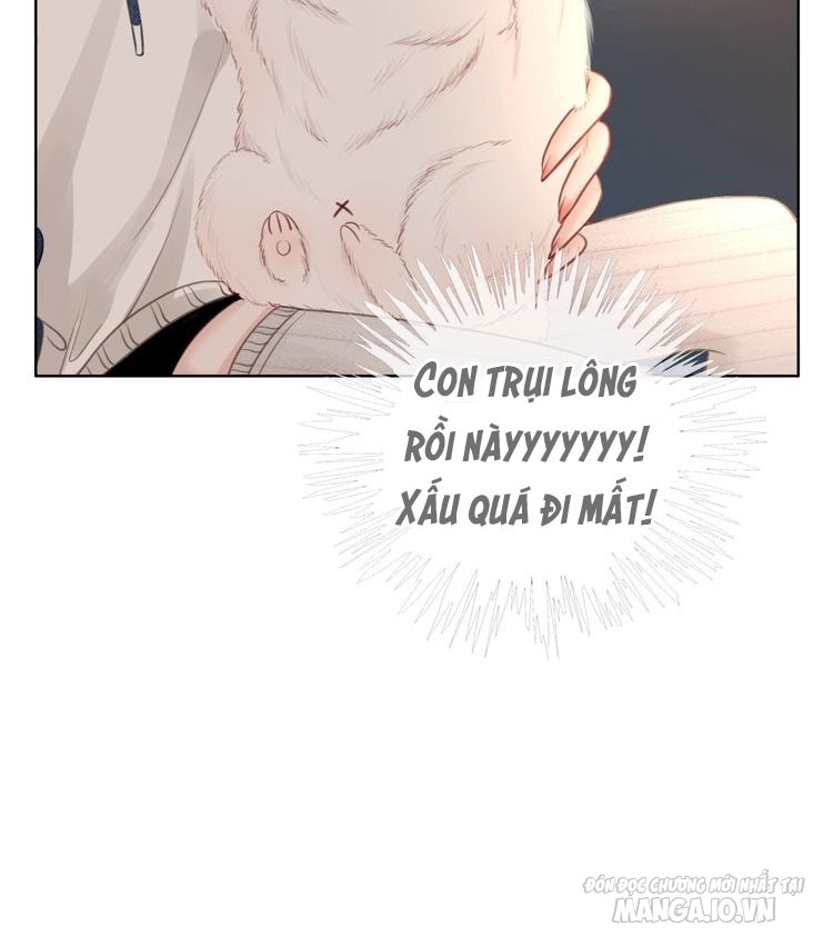 Hắc Ám Hệ Noãn Hôn Chapter 22.1 - Trang 2