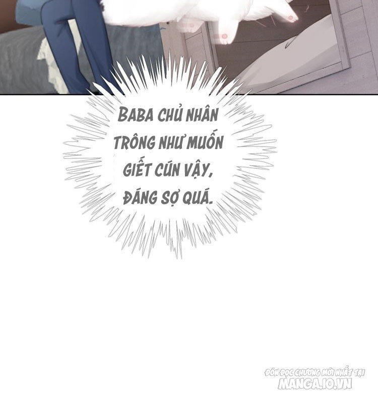 Hắc Ám Hệ Noãn Hôn Chapter 7.1 - Trang 2