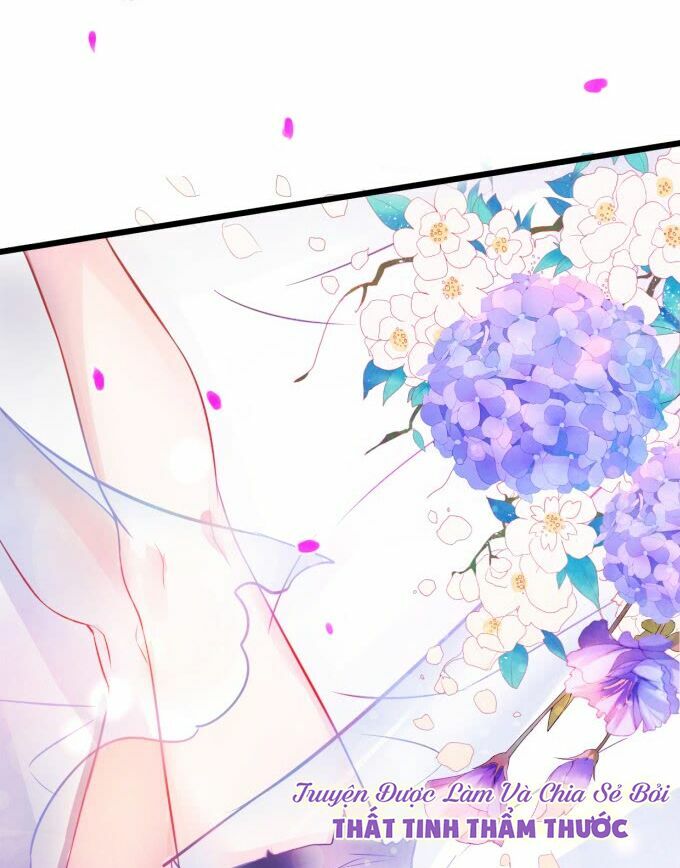 Hắc Đạo Đáng Yêu Chapter 1 - Trang 2