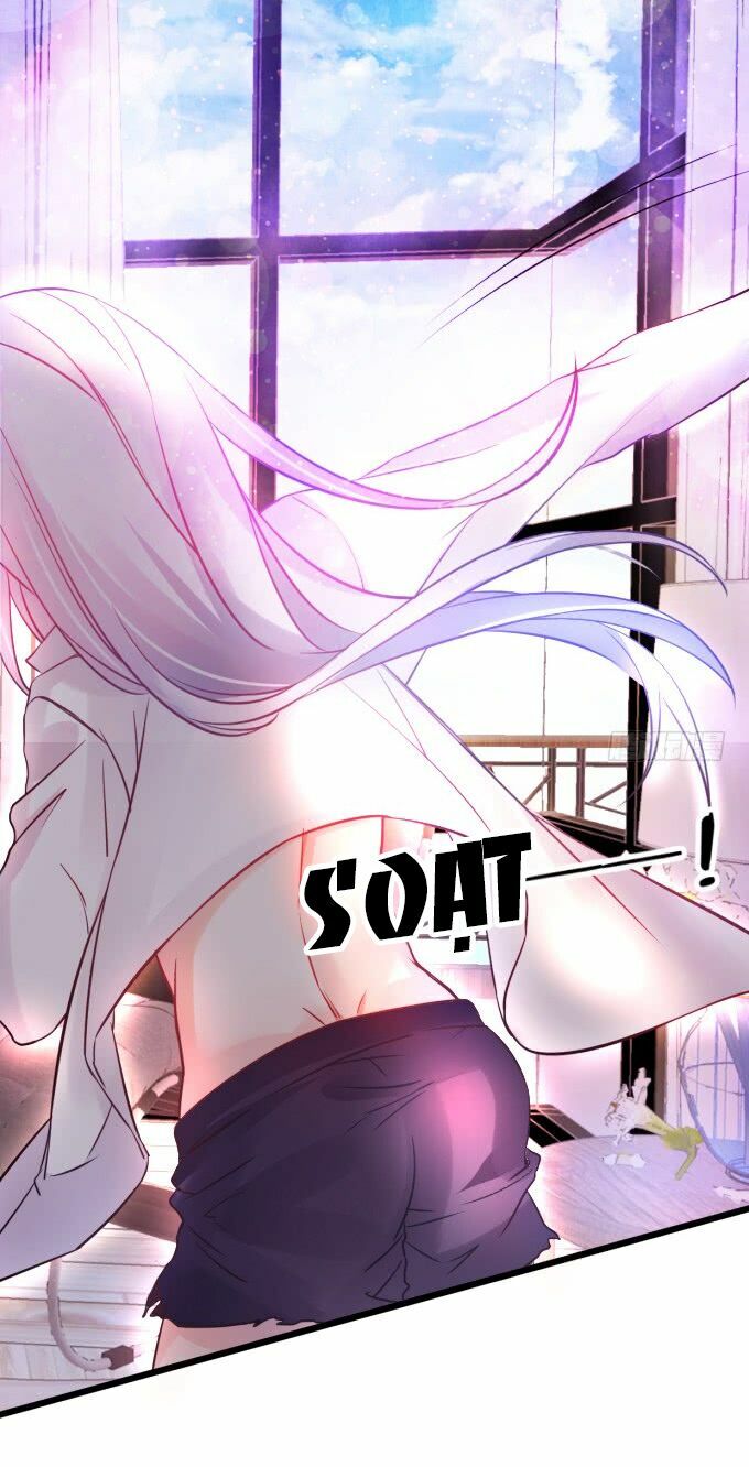 Hắc Đạo Đáng Yêu Chapter 1 - Trang 2