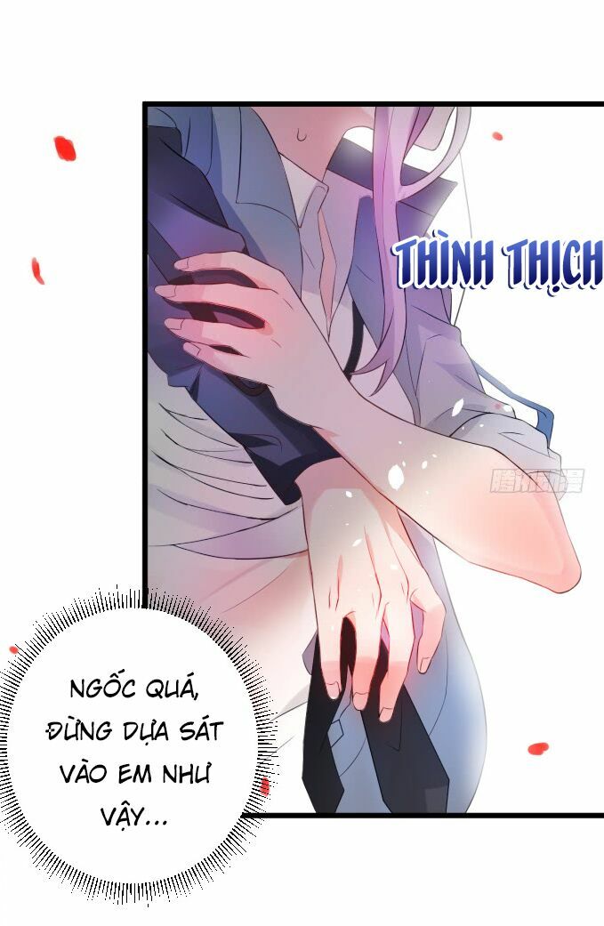 Hắc Đạo Đáng Yêu Chapter 1 - Trang 2