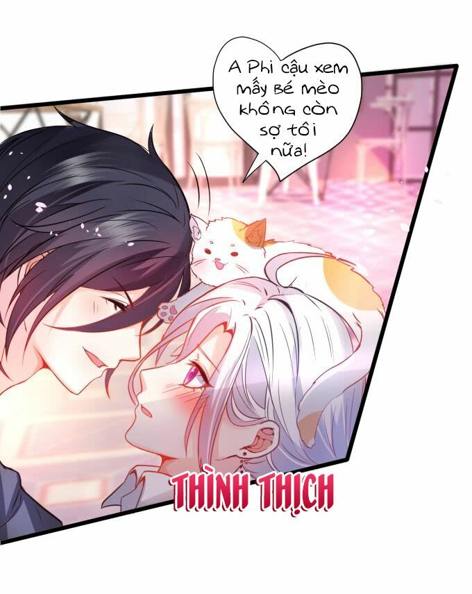 Hắc Đạo Đáng Yêu Chapter 1 - Trang 2