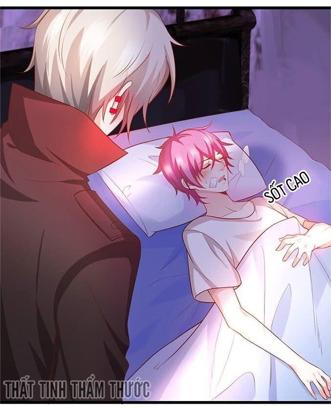 Hắc Đạo Đáng Yêu Chapter 34 - Trang 2