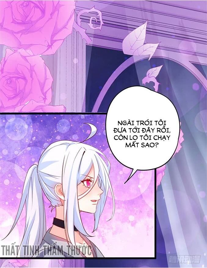 Hắc Đạo Đáng Yêu Chapter 34 - Trang 2