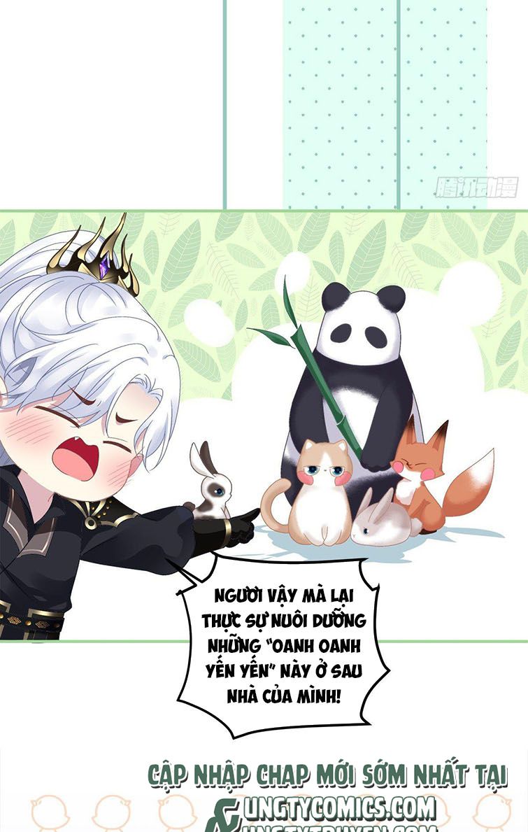 Hắc Hóa Đại Lão Thuần Dưỡng Chỉ Nam Chapter 21 - Trang 2