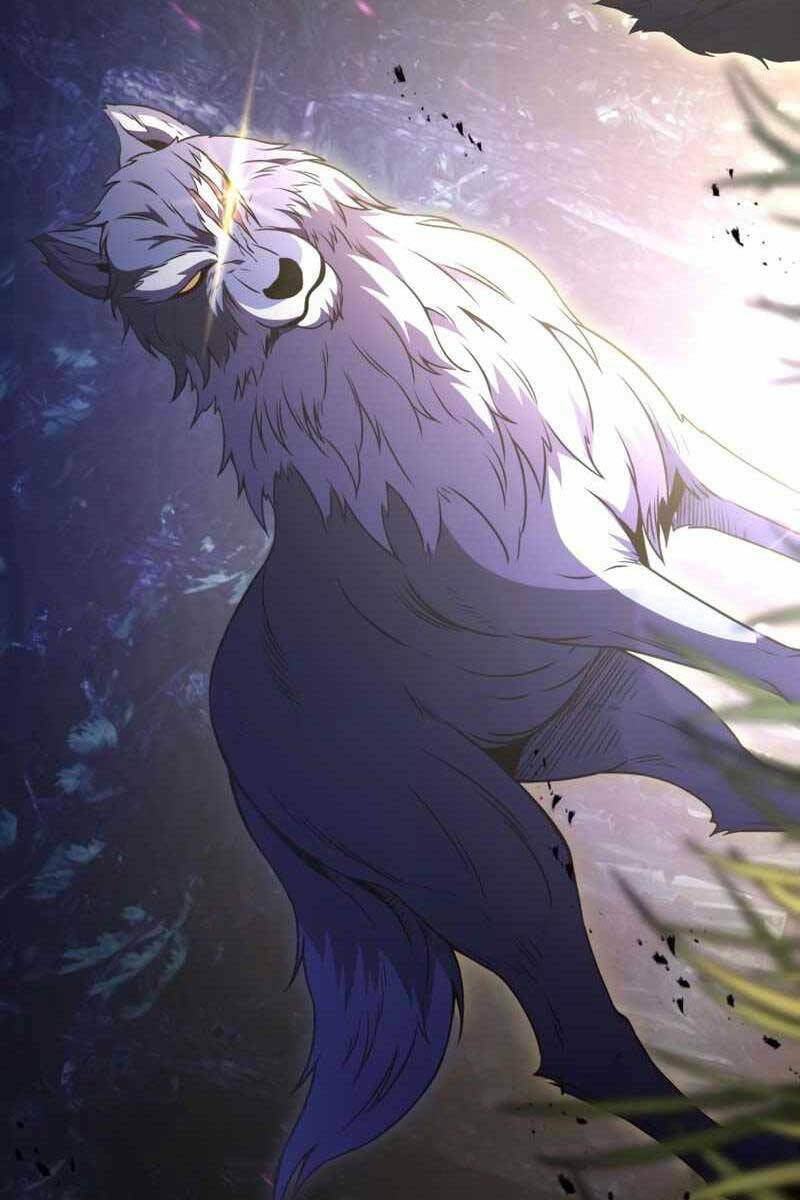 Hắc Kị Sĩ Thiên Tài Giới Hạn Thời Gian Chapter 12 - Trang 2