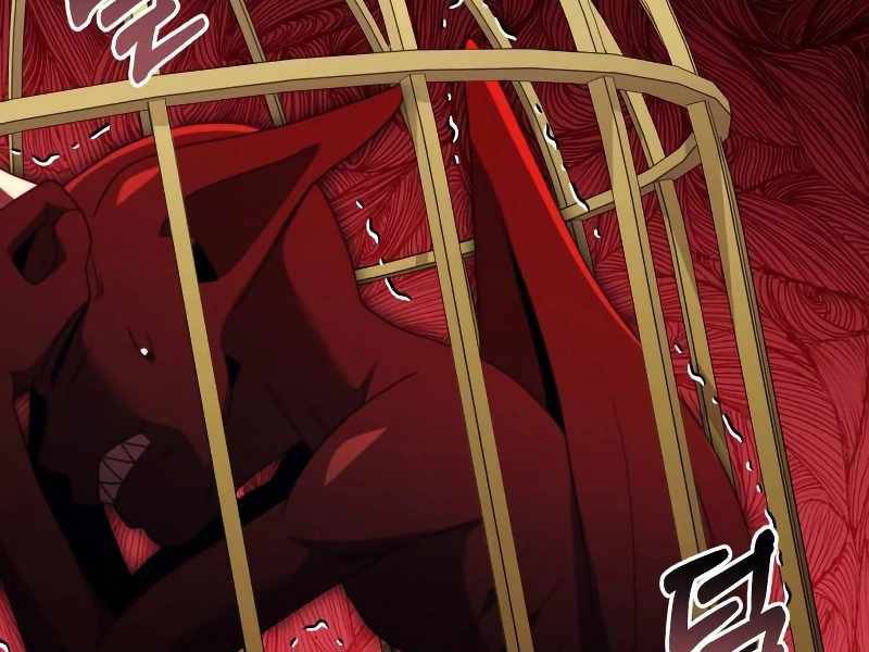 Hắc Kị Sĩ Thiên Tài Giới Hạn Thời Gian Chapter 53 - Trang 2