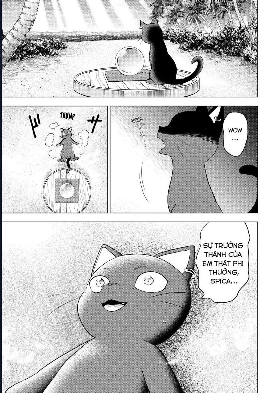 Hắc Miêu Và Lớp Học Phù Thủy Chapter 57 - Trang 2