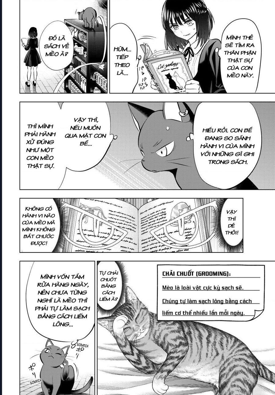 Hắc Miêu Và Lớp Học Phù Thủy Chapter 61 - Trang 2